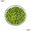 Tienda de Medicina Herbal China, Frijoles Mungo Naturales Auténticos, Frijoles Mungo Estúpidos, Frijoles Mungo Pequeños Cultivados por Agricultores, Polvo de Frijol Mungo Integral