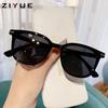 Gafas de Sol Marrones con Marco Negro para Mujer, Gafas de Marco Grande Anti-UV de Gama Alta para Exteriores para Mujer Gafas de Sol Polarizadas Tr90