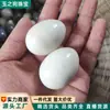 Ventas Directas de Fábrica Bola de Fitness de Jade Natural Balonmano de Jade Blanco Balonmano Huevo al por Mayor Bola de Masaje Huevo de Balonmano Regalos de Bienestar en Vivo