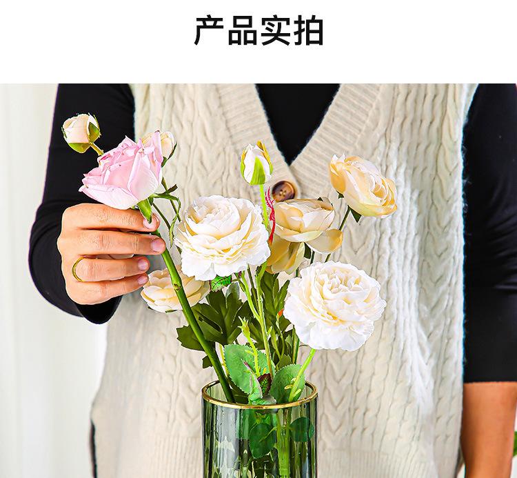 未标题-1_13.jpg