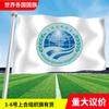 Bandera de la Organización de Cooperación de Shanghái en todo el mundo Asia Europa África América Oceanía banderas grandes y coloridas banderines de guirnalda banderas para agitar a mano en stock