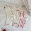 Calcetines Finos de Malla para Mujer Primavera y Verano 2026 Tela de Lunares Etiqueta de Tela Lazo Lindos Calcetines Caídos de Media Pantorrilla Absorbentes de Sudor y Transpirables