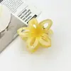 Presilha de Cabelo Feminina Estilo Férias Nova Amazon Transfronteiriça com Recorte Flor de Ovo Presilha de Tubarão para Parte de Trás da Cabeça