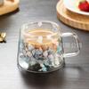 Taza de Vidrio de Doble Capa con Flores Reales de Nuevo Producto Transfronteriza Alto Valor Estético Taza de Café Souvenir Taza Simple de Vidrio de Borosilicato Taza de Agua
