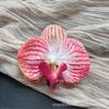 Cabeza de Flor de Phalaenopsis de Película Artificial Impresa en 3D Horquilla para el Cabello de Celebridad de Internet Souvenir de Boda Caja de Dulces de Boda Flores Falsas Decoradas a Mano