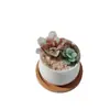 Adornos pequeños de esmalte de colores Zibo macetas suculentas manualidades de plantas de vidrio decoración de escritorio para sala de estar regalo de cumpleaños