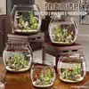 Aquário de Plástico Transparente Espessado Aquário Micro-Paisagem Paisagismo Resistente a Quedas Extra Grande Tanque de Tartaruga Tanque Ornamental de Escritório