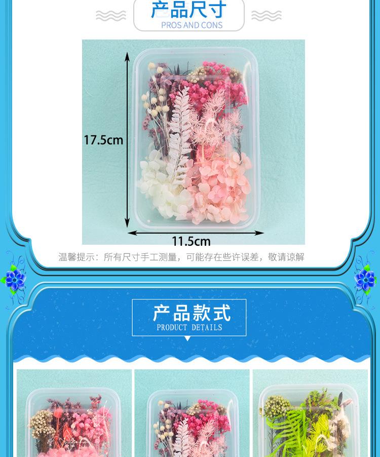 红详情_05.jpg