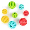 Pelota Juguete Molar Resistente a Mordidas para Mascotas, Pelota Elástica de Goma, Juguete para Border Collie, Divertida Pelota de Comida Interactiva para Perros para Auto-Entretenimiento y Alivio del Aburrimiento