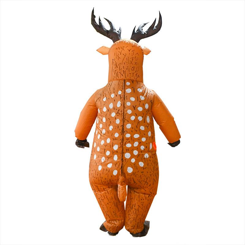 22463461931_1562304531