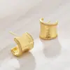 Brincos de Tarraxa Personalizados com Tira Listrada de Zircônia Design de Nicho Escovado Retrô Brincos de Temperamento Brincos de Moda Minimalistas Coreanos