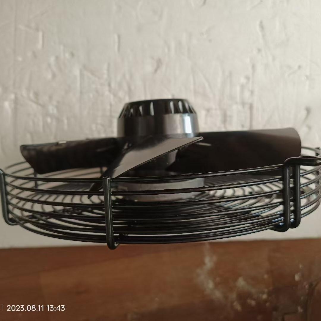 2024-11-06 11:18:12.jpg