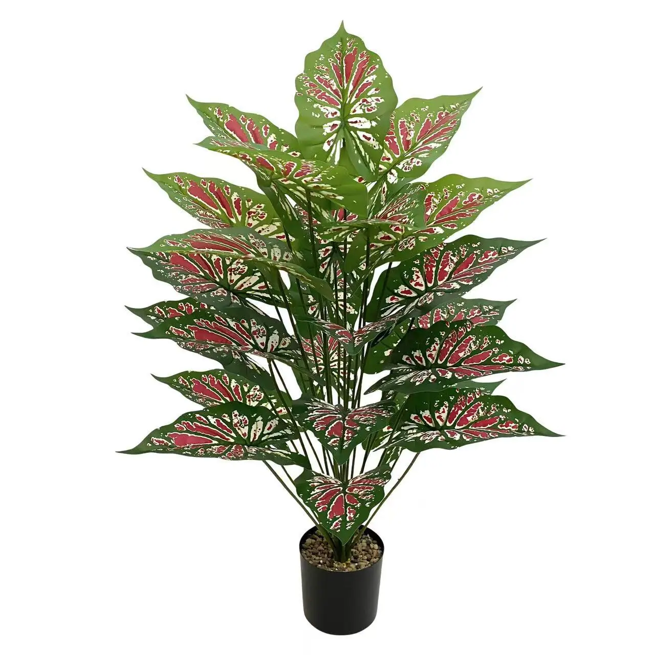 微信图片_20251007112311