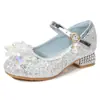 Zapatos de Princesa para Niñas Moda Nuevo Primavera y Otoño Estilo Coreano Zapatos de Salón Tacones Altos de Flor de Cristal Grande para Niños Zapatos Azules Antideslizantes
