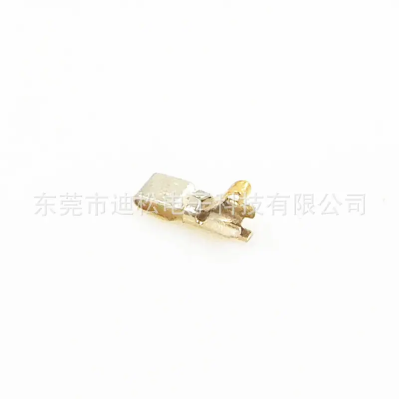 DSCN1557_副本