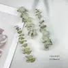 Flores Secas Naturais Flores de Acácia Flores de Borboleta Preservadas Folhas de Eucalipto Maçã Incenso de Folha de Jade Verde Material de Folha Artesanal DIY Fruta