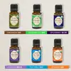 Suministro Exclusivo Transfronterizo para el Mercado de Amazon en EE. UU., Más Vendido Tk Más Vendido Aceite de Menta y Jojoba - Aceite Esencial para Masaje Corporal