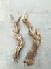 Terrario para reptiles paisajismo madera esquina de pestañas de serpiente caja de gecko lagarto trepador doble corona plataforma para tomar el sol patrón de dragón madera muerta