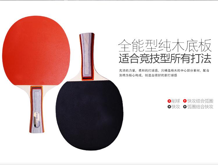 乒乓球拍GS6121_08