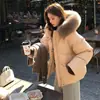 Chaqueta de Algodón Plumón Sujiuer para Mujer, Nuevo Estilo Corto para Mujeres Petite, Abrigo de Invierno Engrosado y Extremadamente Elegante