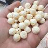 Armadura rica de fruta de marfil con espalda de tortuga DIY Wen Play Buddha Beads Accesorios de joyería Accesorios Cuentas espaciadoras Pulsera tejida a mano