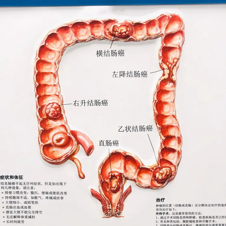 QQ图片20200211161619