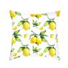 Nueva serie simple de limón almohada interior pequeña fresca sofá mesita de noche oficina almohada para siesta primera generación de pelo