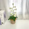 [Producto Terminado] Linterna de Campanillas de Lana Tejida a Mano Transfronteriza Flor Artificial Adornos de Escritorio Tejidos Regalos Creativos