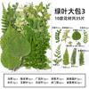 Otoño Hojas Reales Especímenes de Plantas Jardín de Infancia Pegatinas Hechas a Mano Flores Secas Flor Prensada Kit de Materiales DIY Decoración de Hojas Secas