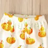 Pantalones Largos Casuales con Estampado de Calabaza y Frutas para Niños y Niñas, Ropa Infantil de Comercio Exterior Europeo y Americano para las Cuatro Estaciones, Halloween, Ropa para Niños, Ropa para Niños