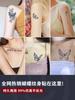 Tatuaje Adhesivo de Mariposa Herbal Semipermanente Dedos Estilo ins para Mujer Impermeable Larga Duración Simulación No se Puede Lavar Dorso de la Mano Pequeño Fresco