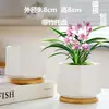 Macetas de Cerámica con Platos para Uso Doméstico al por Mayor, Macetas para Suculentas de Estilo Ins Simple Lujo Ligero Estilo Crema, Disponible para Dropshipping