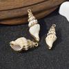 Novo Produto Pingente Concha Natural Eletroplatado 3D Concha Marinha Decorativa Roupas Acessórios de Joalheria DIY Feitos à Mão