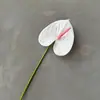 Nuevo Flamenco de Palma Roja Simulada de Alta Calidad Tubo de Palma de Cuero Palma Verde Flores de Boda Venta Directa de Fábrica
