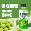 Bebida de Jugo de Uva Verde 310ml Caja Completa al Por Mayor 30 Botellas Sabor Uva Celebridad de Internet Alivio del Calor de Verano Bebida Frutal