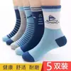 Calcetines para Niños al por Mayor 2024 Otoño e Invierno Nuevos de Letras Deportivos de Algodón Peinado Calcetines para Niños Calcetines para Bebé Dropshipping