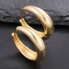 Explosões Amazon banhado a cobre ouro real moda Curinga círculo de zircônia brinco liso luxo alto senso brincos atacado