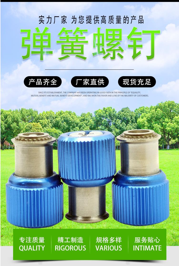 松不脱弹簧螺钉_001
