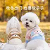 En Stock 10% de descuentoSuéteres para Mascotas Otoño e Invierno, Ropa para Gatos, Ropa para Perros Pequeños y Medianos, Ropa Linda para Mascotas