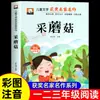 Um Conjunto Completo de 20 Volumes, Livros de Leitura Extracurricular Essenciais para Alunos da Primeira Série, Versão Fonética, Pônei Cruzando o Rio, O Rato se Casa, Recomendado pelo Professor