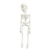 Impresión 3D de esqueleto de calavera, actividad de articulación humana, juguete de Halloween para niños, regalo, pegatina para refrigerador, modelo exquisito