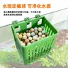 Cesta de Plantio Hidropônico para Aquário Suporte de Parede Copo para Plantas Aquáticas Cesta de Plantio para Plantas Aquáticas Emergentes Acessórios de Decoração para Paisagismo de Aquário