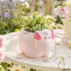 Lindo vasinho de suculenta em formato de porquinho rosa, planta verde para vasos internos, ornamento decorativo de mesa para estabilizar o humor do escritório