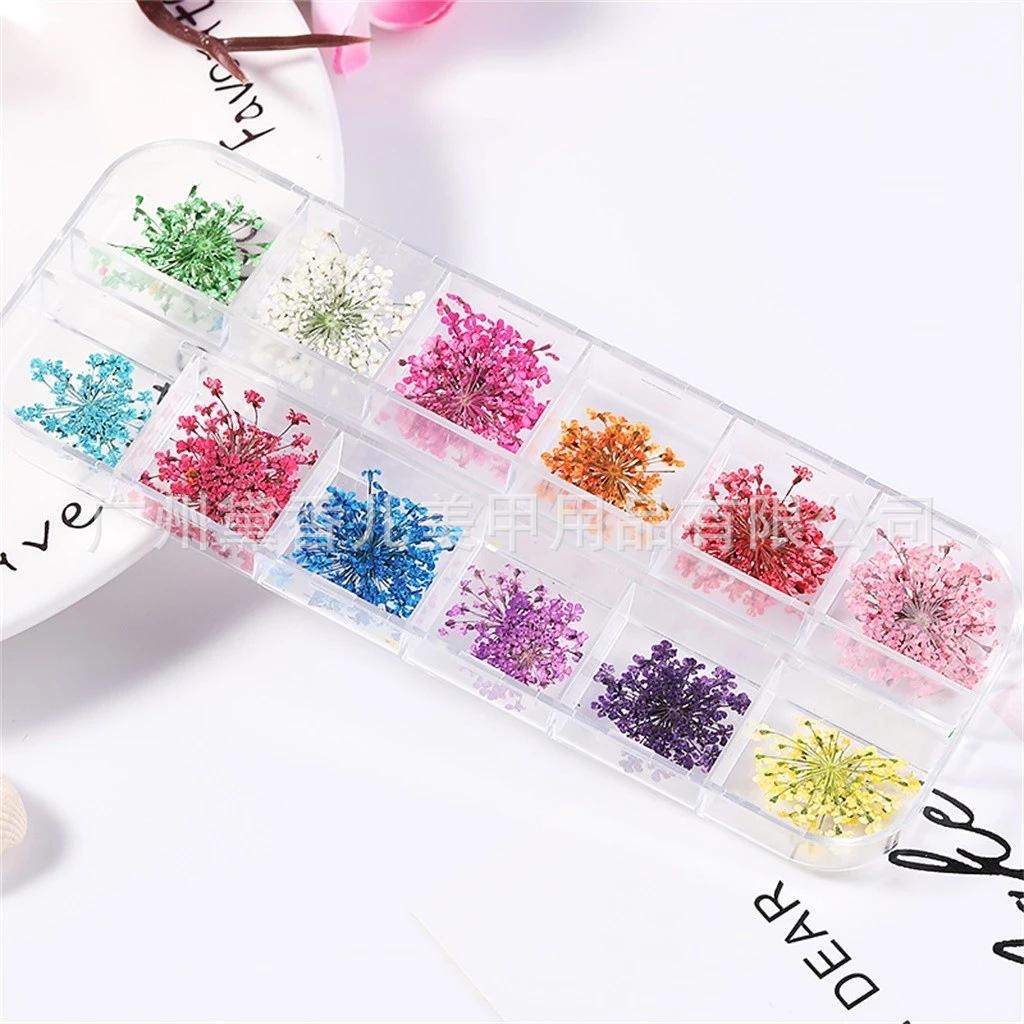 Mix-Dried-Flowers-3D-Dry-Flowe