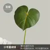 Decoración de Pared de Planta Artificial de Moda con Textura Realista de Hojas de Monstera, Suministro Transfronterizo de Hojas de Taro Artificiales de Colores