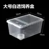 Caja de Cría para Reptiles, Araña, Rana Cornuda, Caracol, Hámster, Gecko, Caja para Mascotas Reptiles, Tanque para Tortugas, Tanque de Cría para Cangrejos Ermitaños, Caja para Cangrejos de Basura