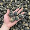 Lijiang 35 cabeças 1kg maca a granel fruta maca grande origem Yunnan direto maca atacado maca
