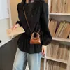 Mini Bolsa para Labial, Estuche para Auriculares, Bolso Pequeño Exquisito de Moda de Nicho, Bolso tipo Dumpling, Elegante Bolso Cruzado, Bolso de Mano de Alta Gama