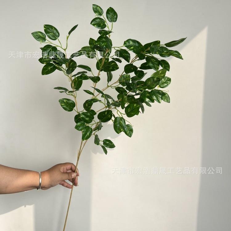 微信图片_20241014135953_副本
