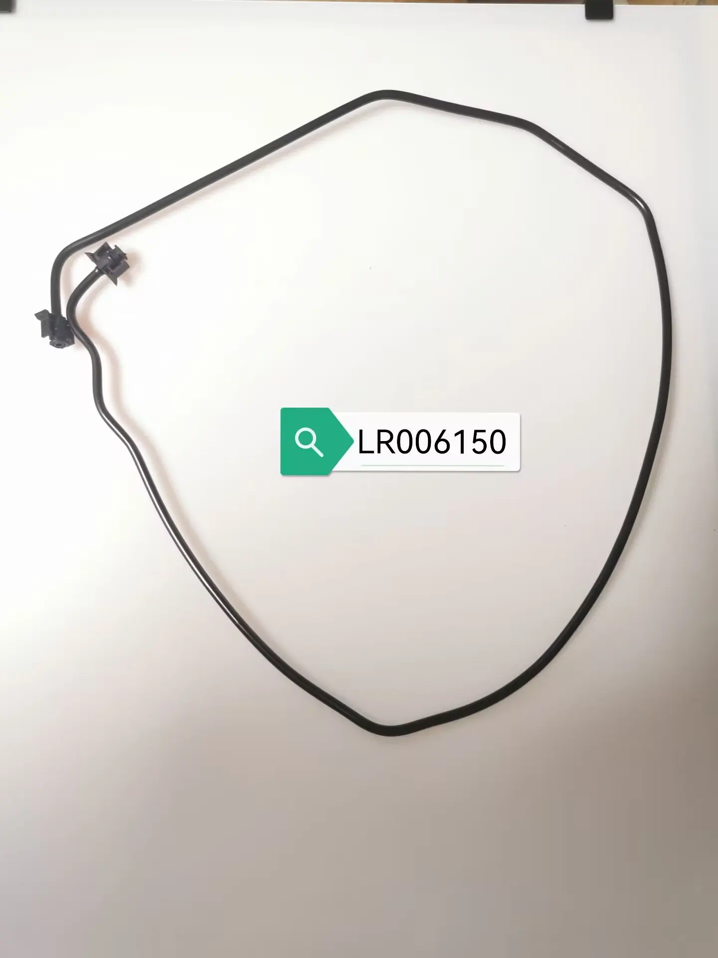 LR006150.jpg